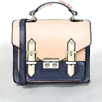 Popsugar handbag 가방그림