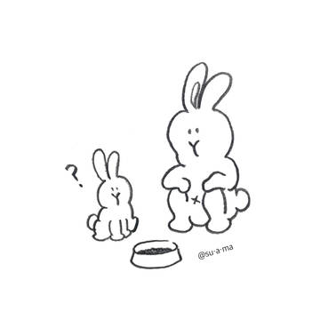 うさぎを手懐けるひと