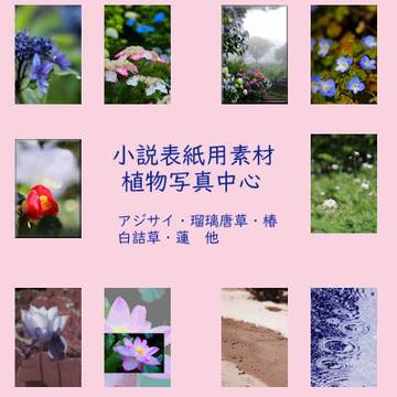 小説表紙用素材