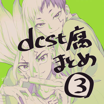 dcst腐③