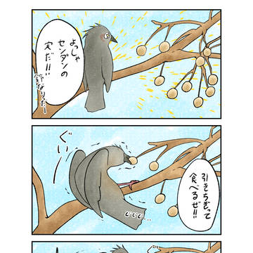 木の実採りの奥の手