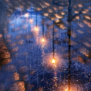 雨の道