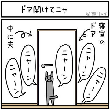 ドア開けてニャ