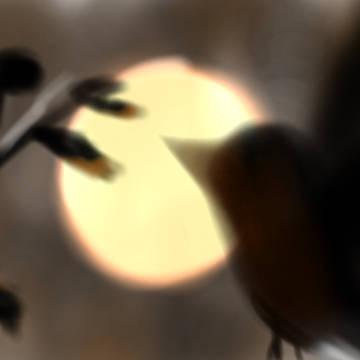鳥