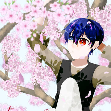 桜散る頃