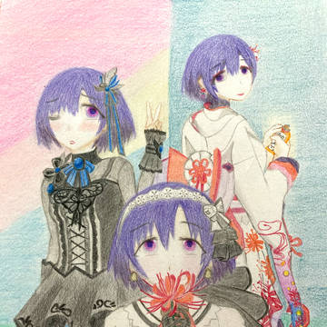 白菊ほたる