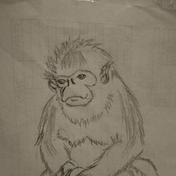 monke