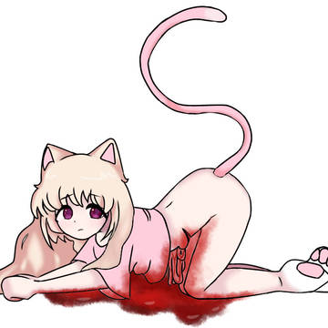 cut kitty