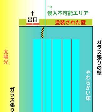 プールサイドステージ地形上面図