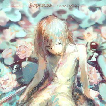 蓮の花が咲くころに