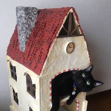 cat house