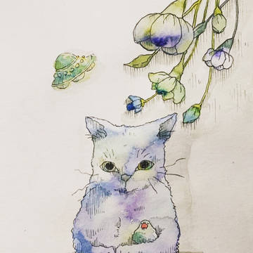 どらやき村のまたきちさん