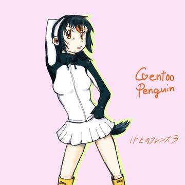 ジェンツーペンギン（Gentoo Penguin）
