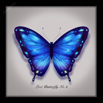 butterfly