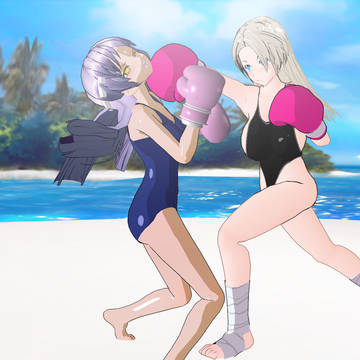 Misc fight art
