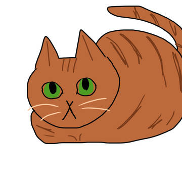 うちの猫ちゃん