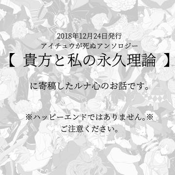 WEB再録【 貴方と私の永久理論 】ルナ心