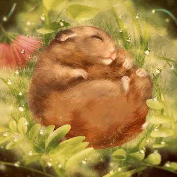 May you be happy