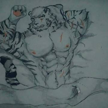 tiger morning woods