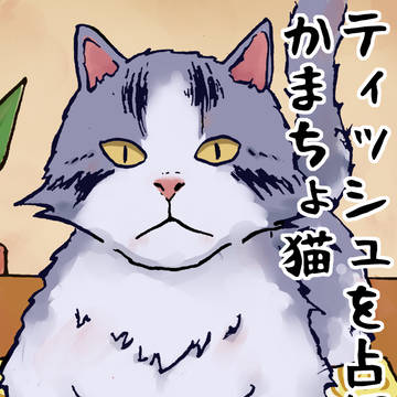 ティッシュを占領するかまちょ猫