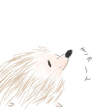ハリネズミ可愛いよね