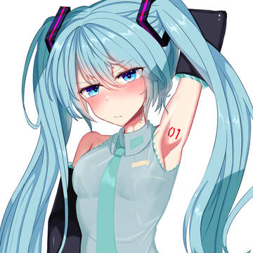 脇ナンバー