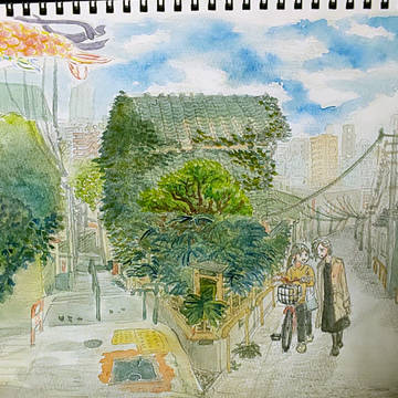 橘かおる朝風に