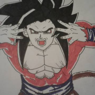 my draws