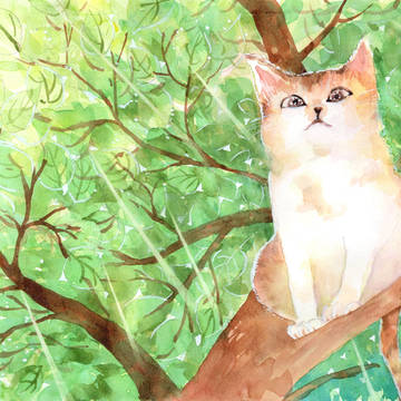 樹上小貓