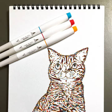 筆ペンアート　猫です