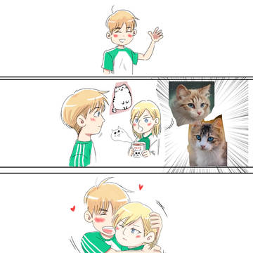 cat