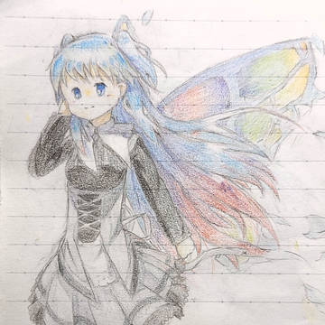 クトリ・ノタ・セニオリス