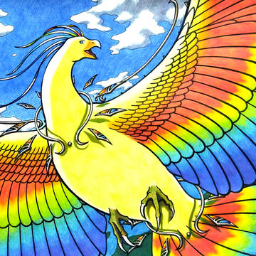 虹鳥