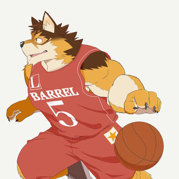 バレルくん🏀