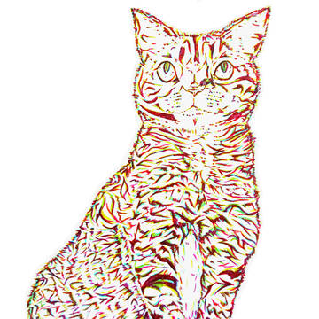 猫筆ペンアート
