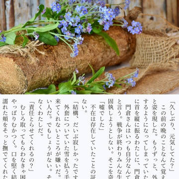 掌編