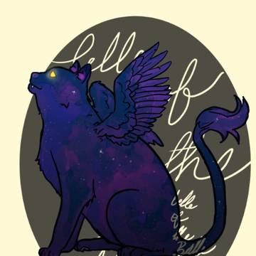 SPACE CAT