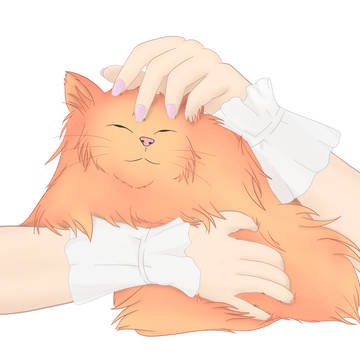 Kiara Chonkers