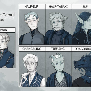 Gareth Cerard: Party Meme