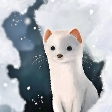 白山の妖精