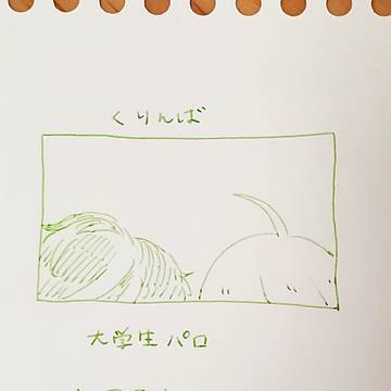 大学生パロくりんば