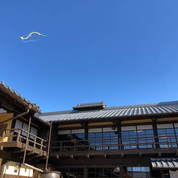 空を泳ぐ