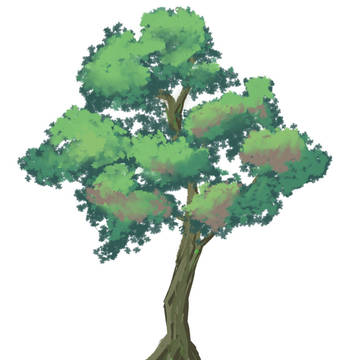 木