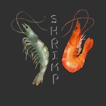 蝦子/shrimp