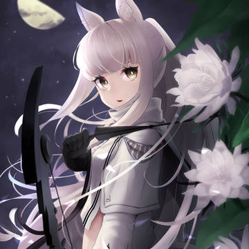 月下美人