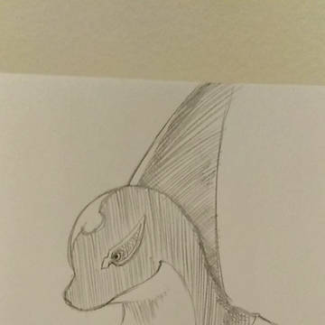 Gang Orca