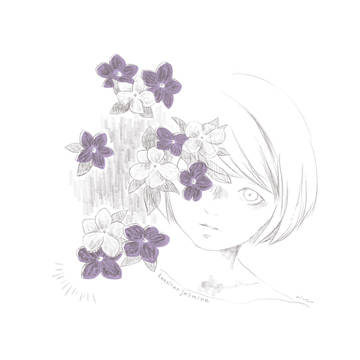 american jasmine🌸🌸