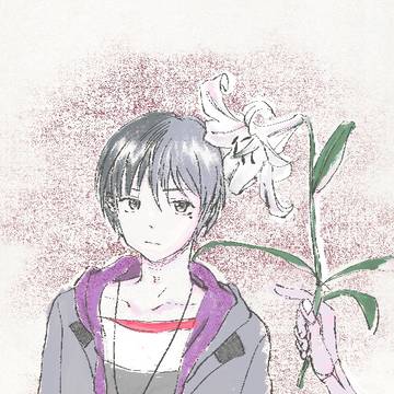 silver lily