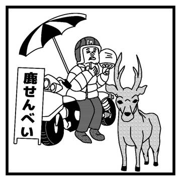 鹿せんべい販売