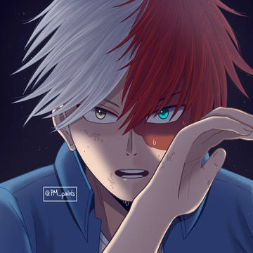 todoroki from training camp arc